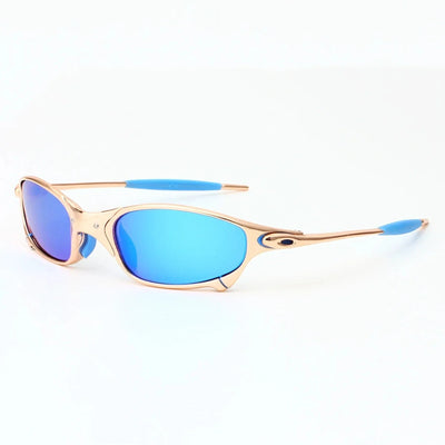 Ecliptic Polarized Shades