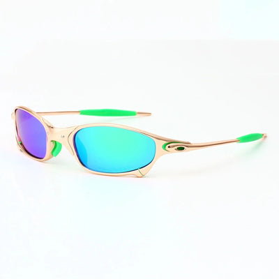 Ecliptic Polarized Shades