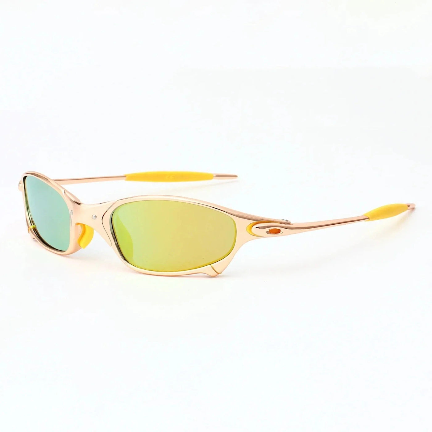 Ecliptic Polarized Shades