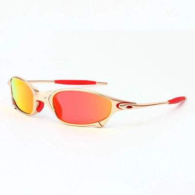 Ecliptic Polarized Shades