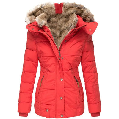 Aurora Luxe Faux Jacket