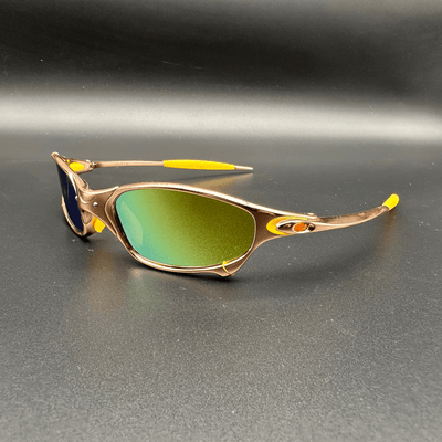Ecliptic Polarized Shades